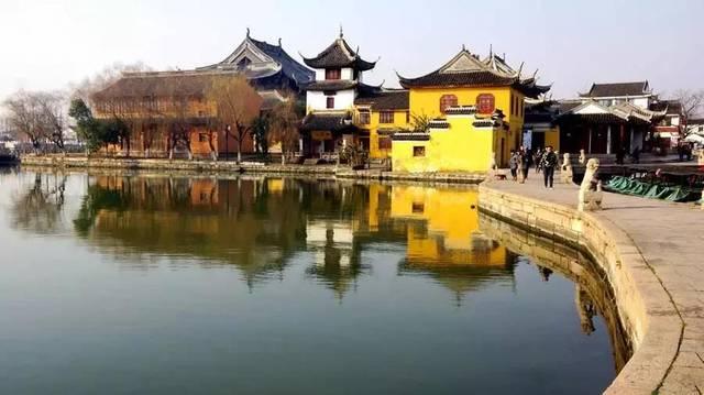 机智问答网页-深入了解茶树叶子发黄枯萎是什么原因?